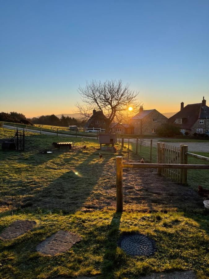 Bike Shed - Beautiful 1-Bed Cottage In Shorwell エクステリア 写真